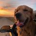 Kylie Solwey - Facebook