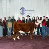 Kyle Smith - @kylesmith511 - TikTok
