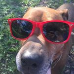 Kyle Smoak - @seaturtle1 - Instagram