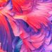 Kyle Sonnenberg - Facebook