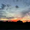 Kylee_Spence 🦋🌸 - @kyleespence - TikTok