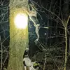 kylespringer782 - @kylespringer782 - TikTok