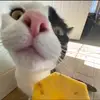 Kyle - @kyle_stacey - TikTok