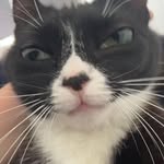 Kyle Stacey - @kyle_stacey3 - Instagram
