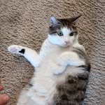 Kyle Stacy - @kyle.stacy.587 - Instagram