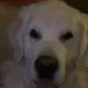 Kyle£ - @kyle.stenhouse - TikTok
