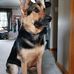 Kyle Stefanski - Facebook