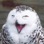 Kyle Stern - @kyle.stern.7524 - Instagram