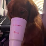 Bob Evans - @kyle.stinchcomb - Instagram