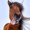 kyle stites - @kyle.stites - TikTok