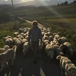 Kyle Streitburger - @kylestreitburger - Instagram
