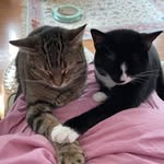 Kyle Marie Suter - @sparkydogmom - Instagram