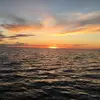 Kyle - @kyle.sutton - TikTok