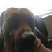 Kyle Sword - Facebook