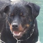 Kyle Tackett - @tackett.kyle - Instagram