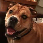Kyle Tackett - @tackettkyle - Instagram