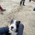 Kyle Tait - Facebook