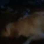 kyle tait - @kyle_tait32 - Instagram