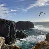 Kyle Tait - @kyle_tait - TikTok