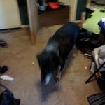 Kyle Tait - @tait.kyle - Instagram