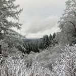 Kyle Teal - @kteal989 - Instagram