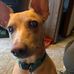 Kyle Teal - Facebook