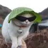 Kyle Tennison - @kyle.tennison - TikTok