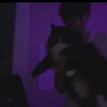 Kyle Tennison - @kyle_tennisball - Instagram