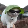 KyleTennison - @kyletennison - TikTok