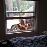 Kyle McIntosh-Tharp - @kt_harp74 - Instagram