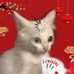 Ky Thien Le - Facebook