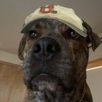 Kyle Thiessen - @kyle_thiessen - Instagram