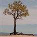 Kyle Timm - Facebook