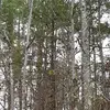 @kyleigh_tolbert - @kyleigh_tolbert - TikTok