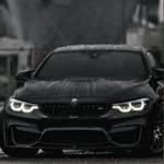 Aiden - @kyletoney829 - Instagram