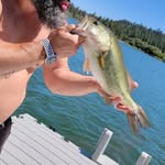 Kyle Toney - @bananaflasher - Instagram