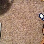 Kyle - @kyle_townes - Instagram