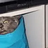 kylee - @kyleetrimblee - TikTok