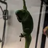 Kyle Trout - @kilgoretrout842 - TikTok