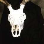 Kyle Trout - @troutmansbugsandbones - Instagram