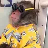 kyletrout7 - @kyletrout7 - TikTok