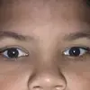 SEBAS - @kyletruitt - TikTok