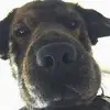 Kyle Urban - @kyleurban7 - TikTok