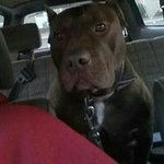 Kyle Vacca - @vaccakyle - Instagram