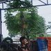 Kyle Valdez - Facebook