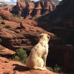 Kyle Vance - @kcvance13 - Instagram