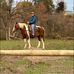 Kyle VanValkenburgh - Facebook