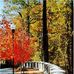 Emory University Real Estate Specialist, Kyle Vermillion - Facebook