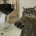 كايل - @vesticious__kyle - Instagram