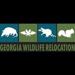 Kyle Vining - @georgiawildliferelocation - Instagram
